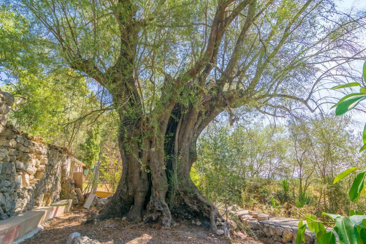 La Bisbal Villa *