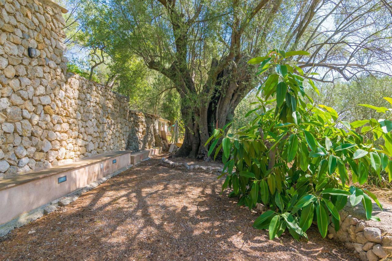 Villa La Bisbal Selva (Mallorca)